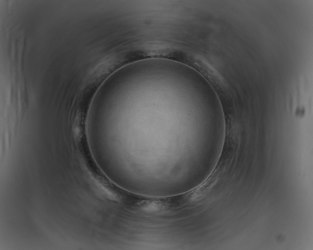 X0000097770074200803071327