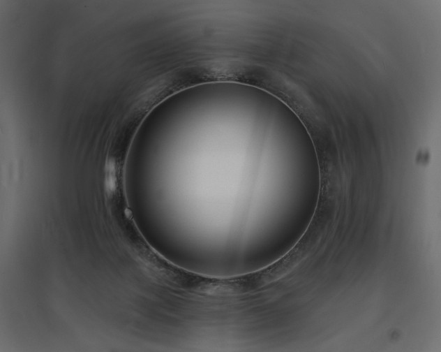 X0000097770075200803071327