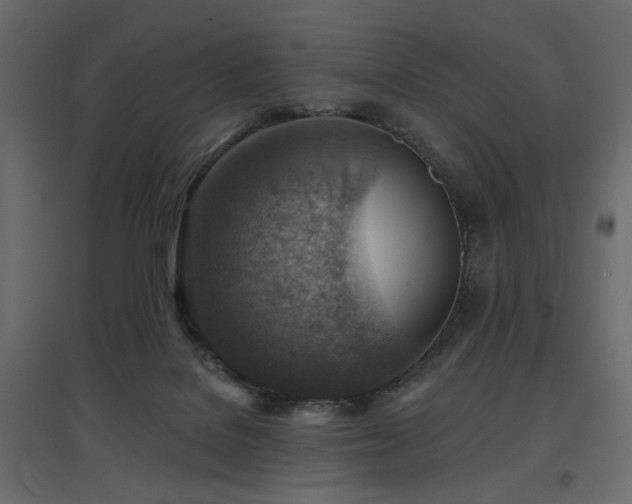 X0000097770076200803071327