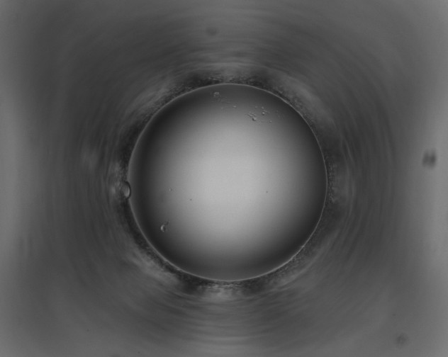 X0000097770077200803071327