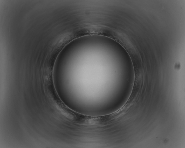 X0000097770078200803071327