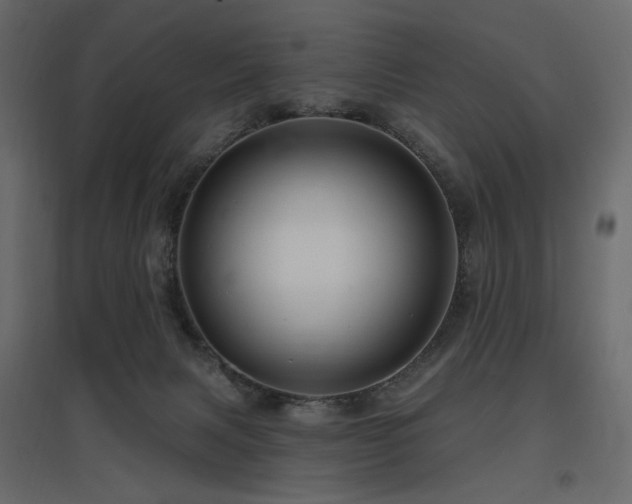 X0000097770079200803071327