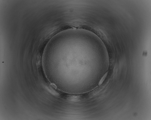X0000097770081200803071327