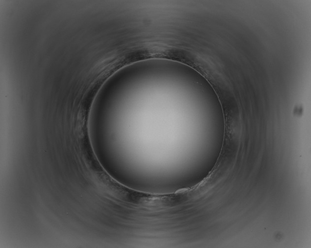 X0000097770082200803071327