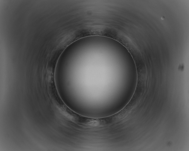 X0000097770083200803071327