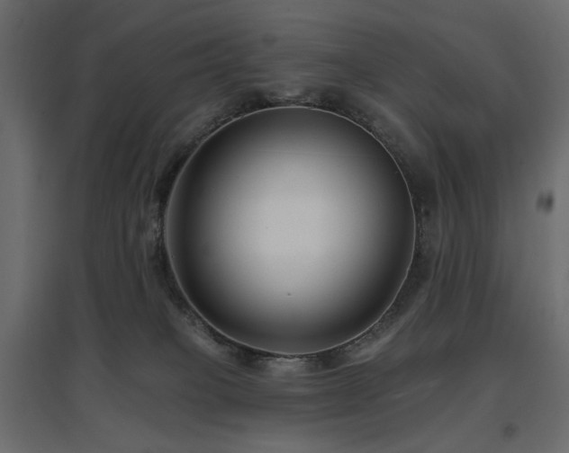 X0000097770085200803071327
