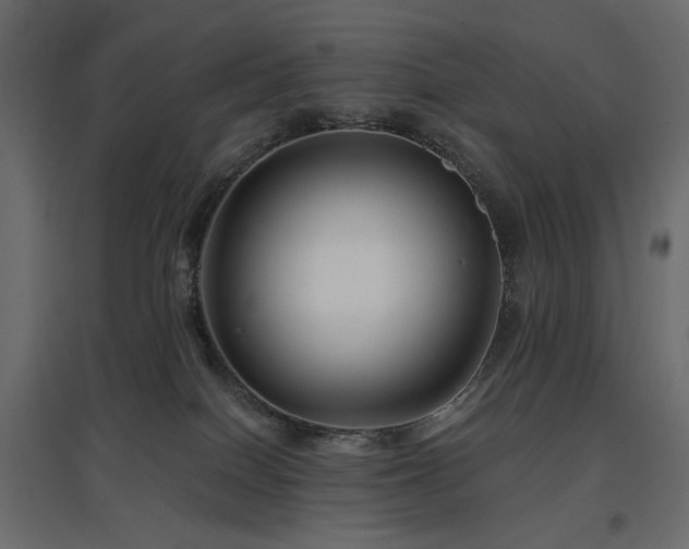 X0000097770086200803071327