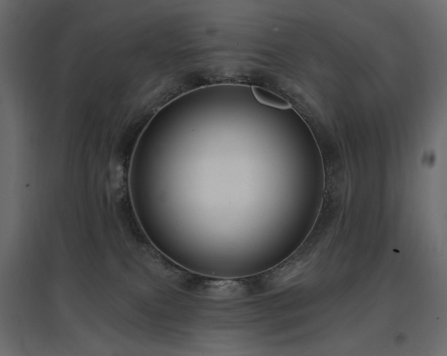 X0000097770087200803071327