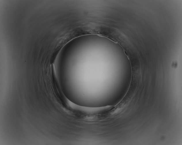 X0000097770088200803071327