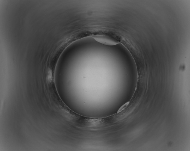 X0000097770089200803071327