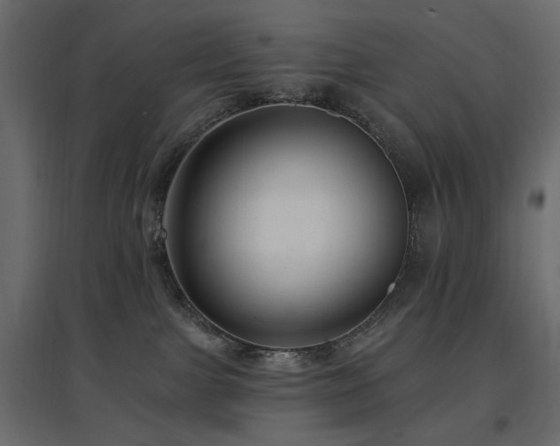 X0000097770091200803071327