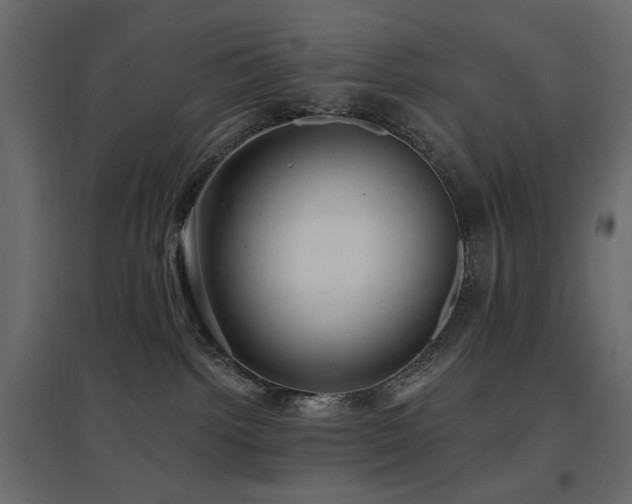 X0000097770092200803071327