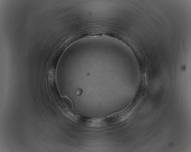 X0000097770093200803071327