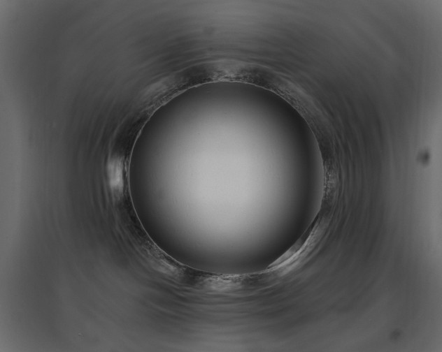X0000097770094200803071327