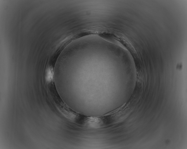 X0000097770095200803071327
