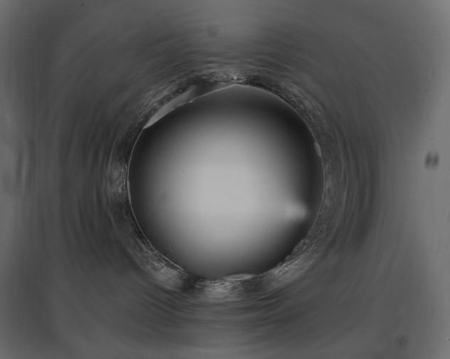 X0000097770096200803071327