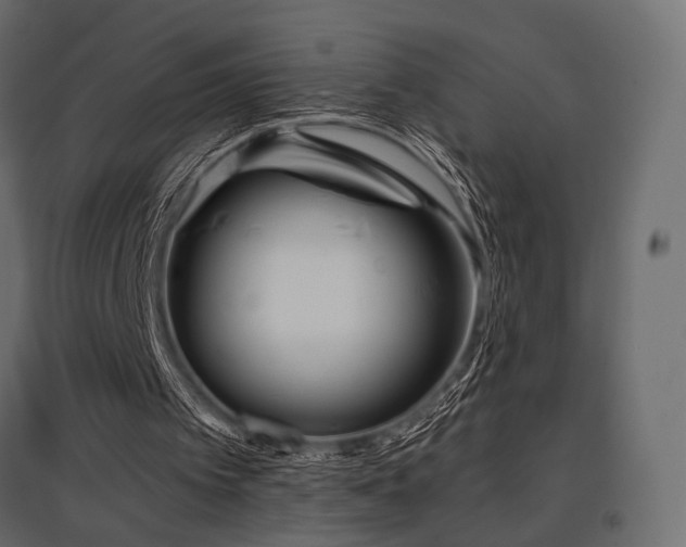 X0000097770097200803071326