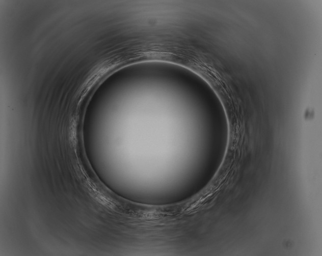 X0000097770098200803071326