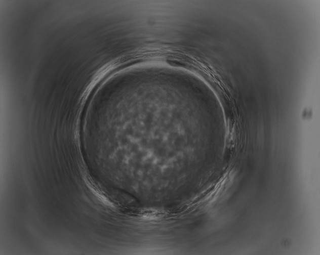 X0000097770099200803071326