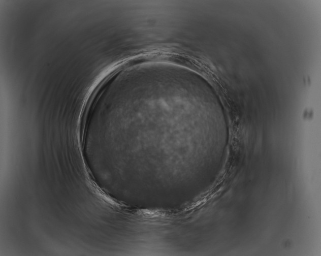 X0000097770100200803071326