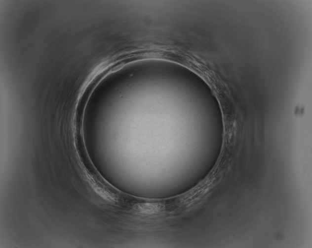 X0000097770102200803071326