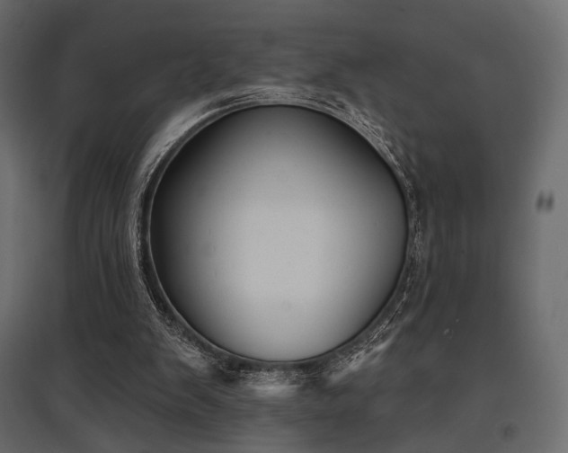 X0000097770103200803071326
