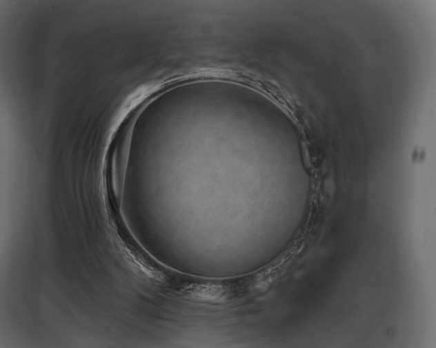 X0000097770104200803071326