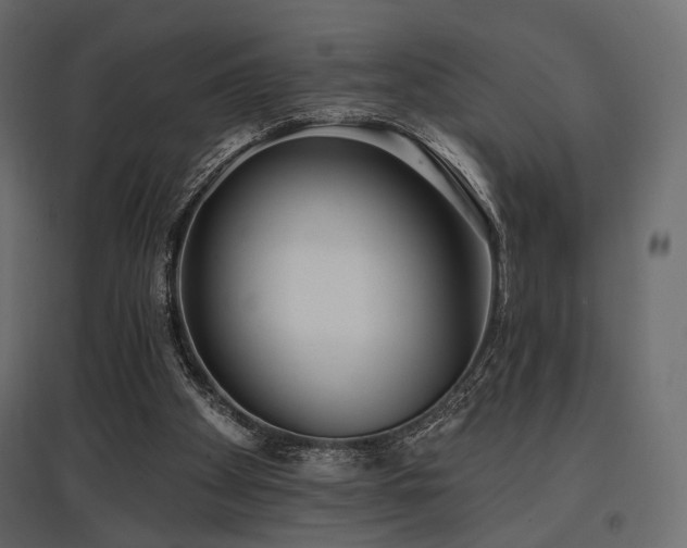 X0000097770105200803071326