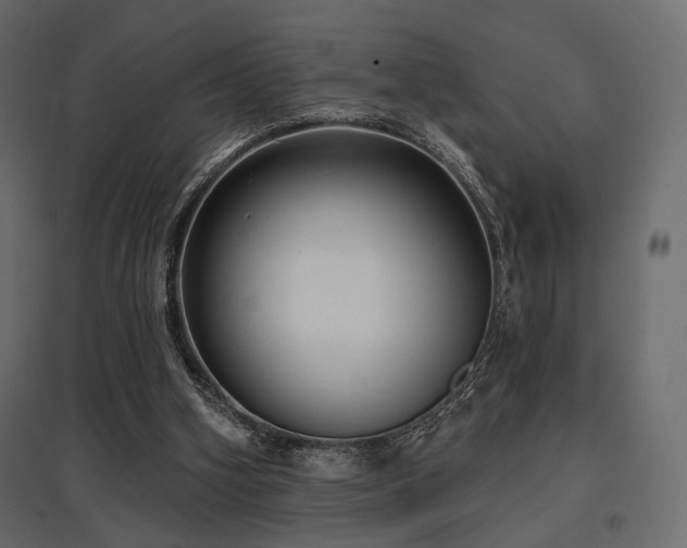 X0000097770106200803071326