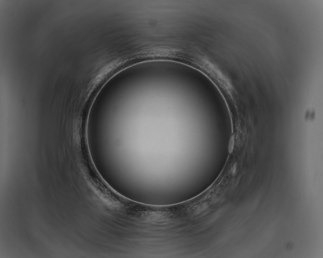 X0000097770107200803071326
