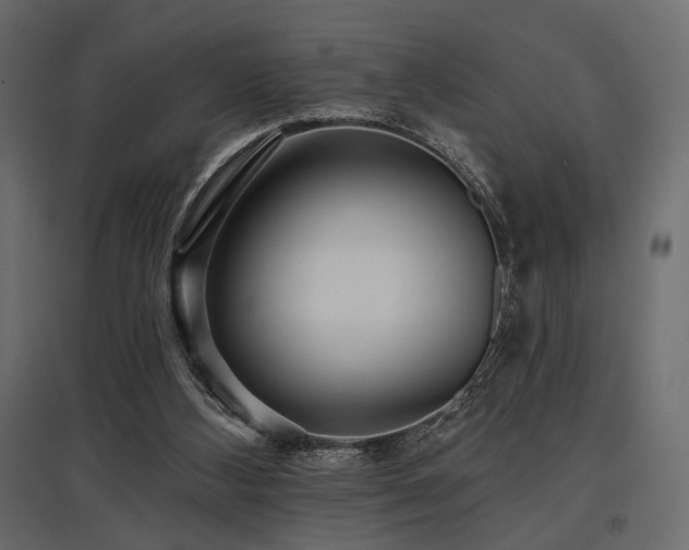X0000097770108200803071326