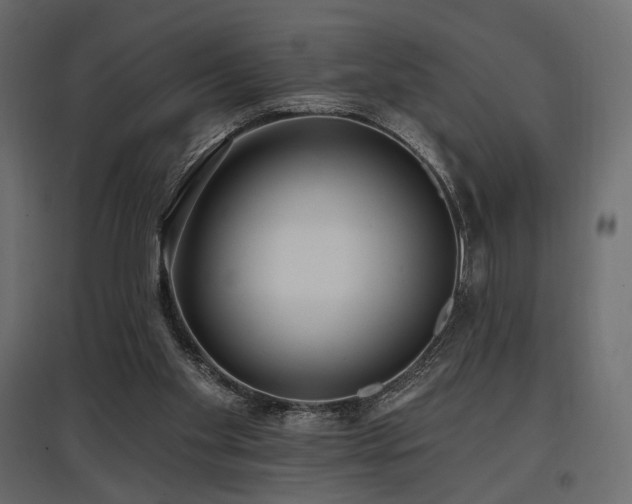 X0000097770109200803071326