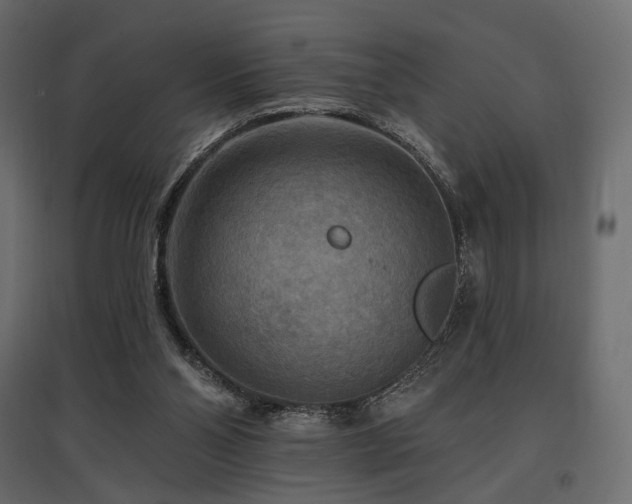X0000097770110200803071326