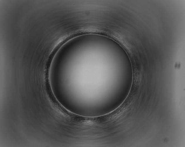 X0000097770111200803071326