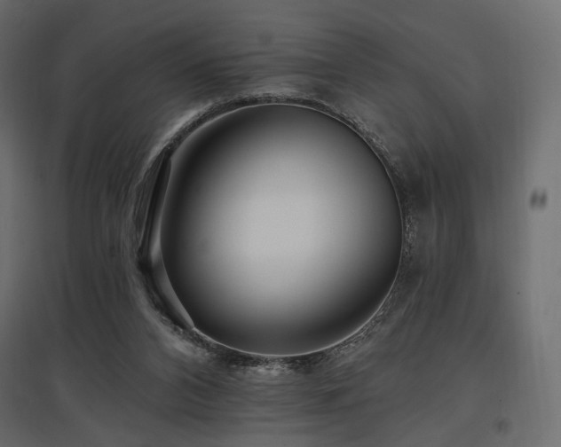 X0000097770112200803071326