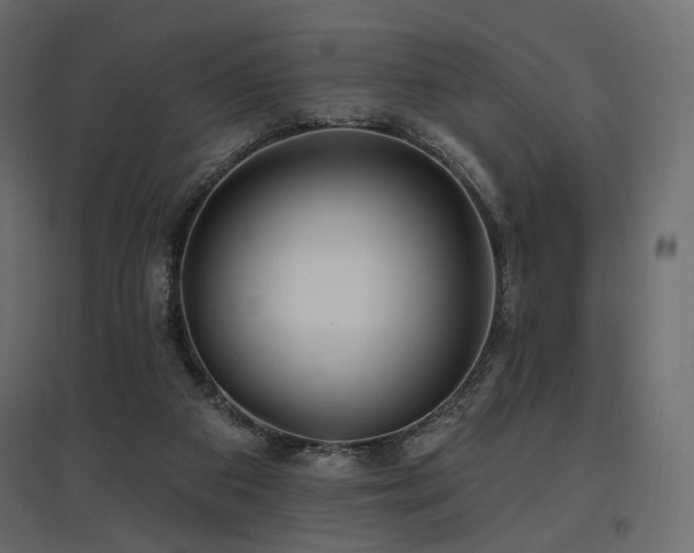 X0000097770113200803071326