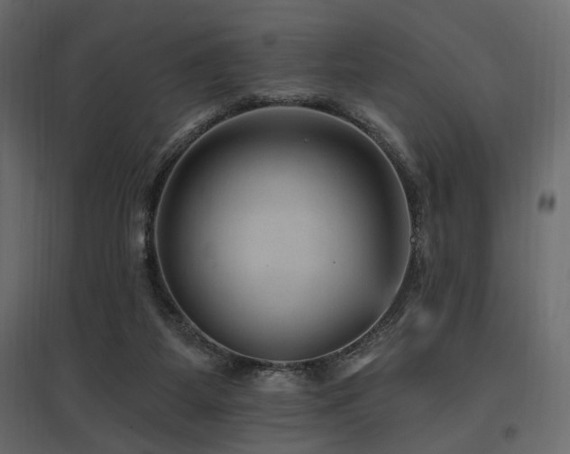X0000097770115200803071326