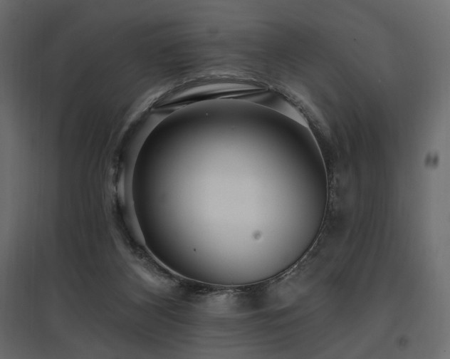 X0000097770116200803071326