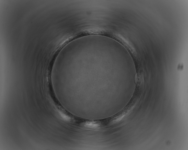 X0000097770117200803071326