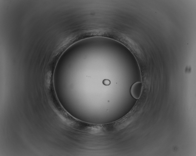 X0000097770118200803071326