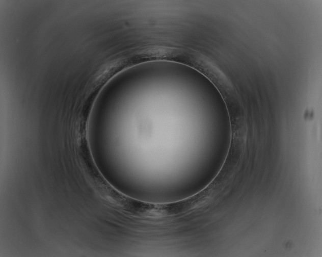 X0000097770119200803071326