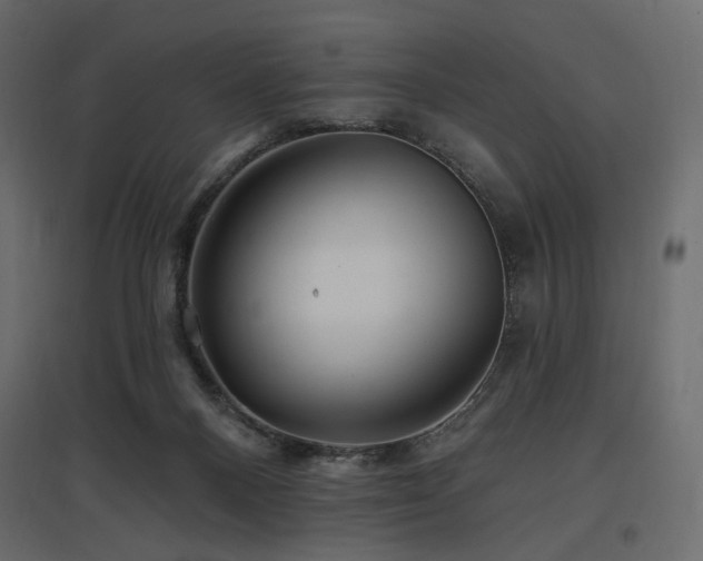 X0000097770120200803071326