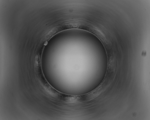 X0000097770122200803071326