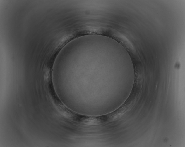 X0000097770123200803071326