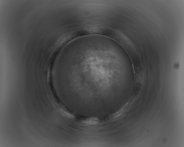 X0000097770124200803071326