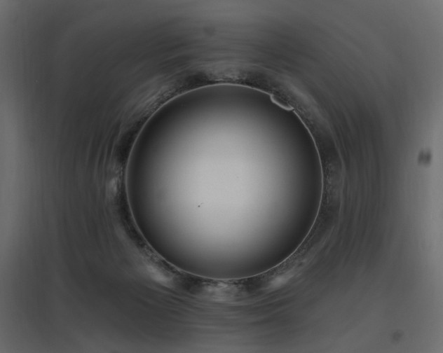 X0000097770125200803071326