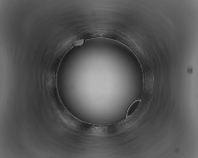 X0000097770126200803071326