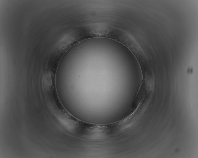 X0000097770128200803071326