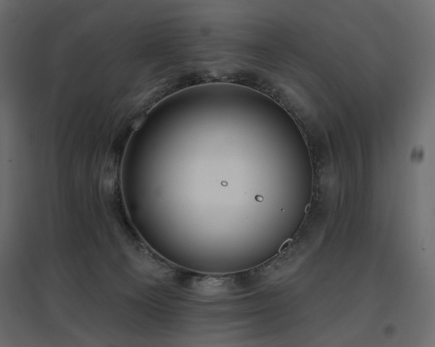 X0000097770129200803071326