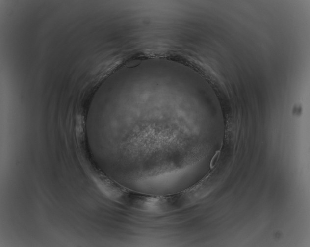X0000097770130200803071326